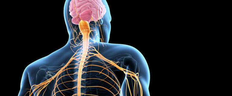 Peripheral Nerve Injuries