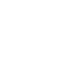 Stethoscope icon