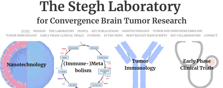 The Stegh Laboratory