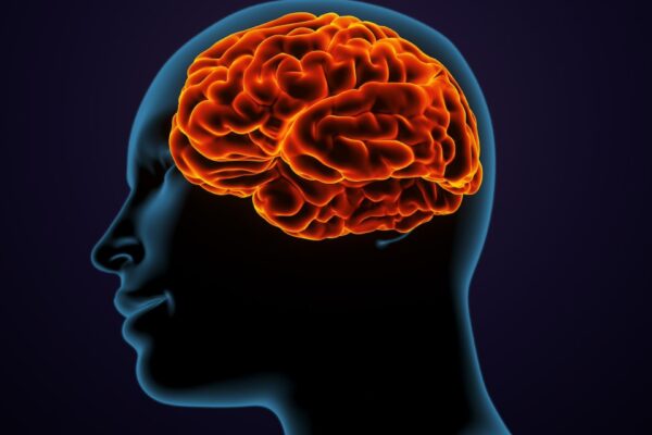 Study increases understanding of why recurrent meningiomas are aggressive