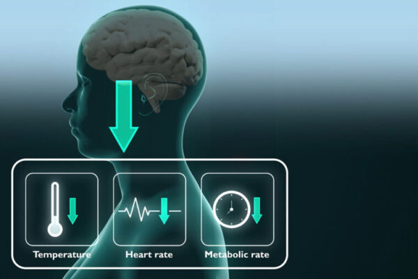 Synthetic torpor has potential to redefine medicine