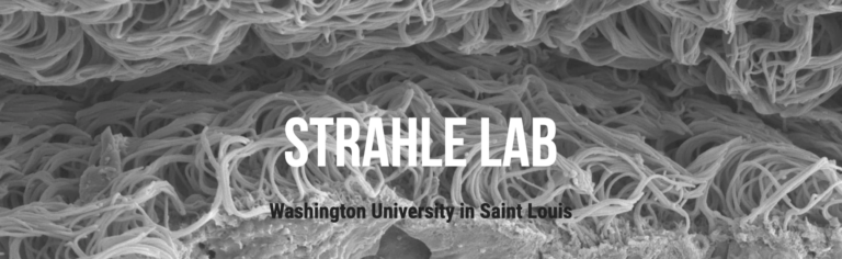 Strahle Lab