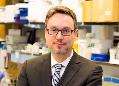 Stegh named Brain Tumor Center research director